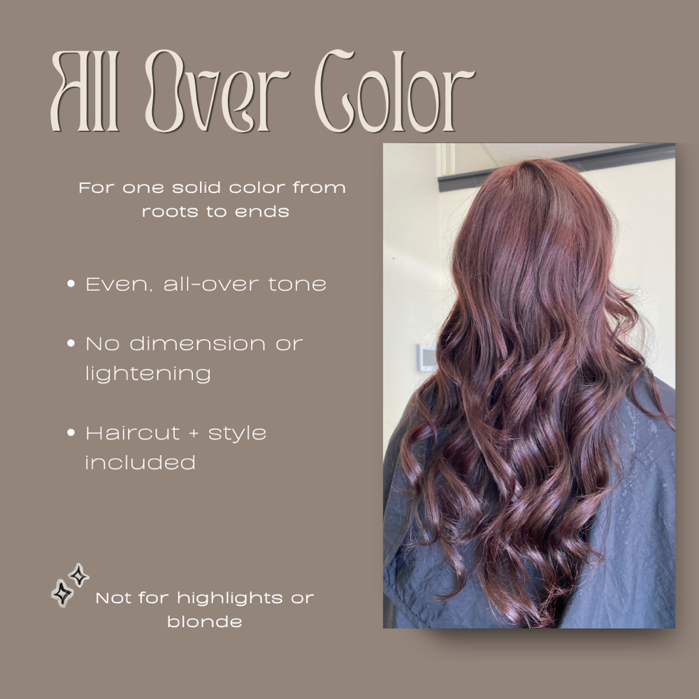 Global Color (All Over Color) at Painted Hair Studio Salon in McDonough, GA