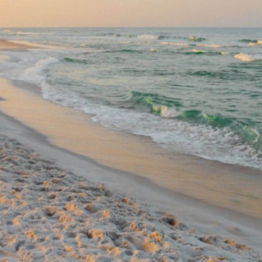 Face Framing Highlights at Cedar & Coast Salon in Madison, WI