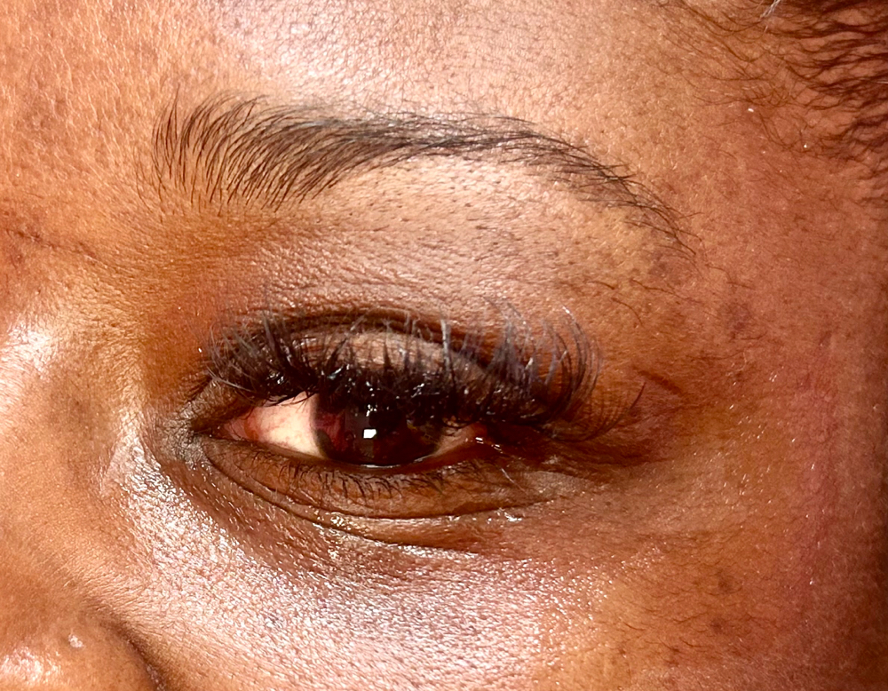 Mega Volume Lash Extensions