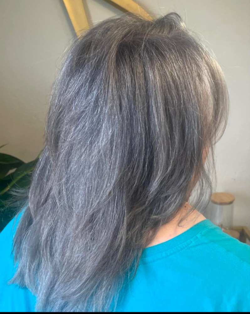 Silver Transition