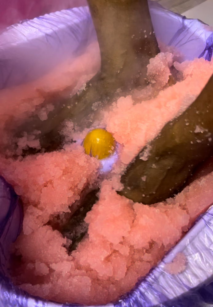 Jelly Pedicure