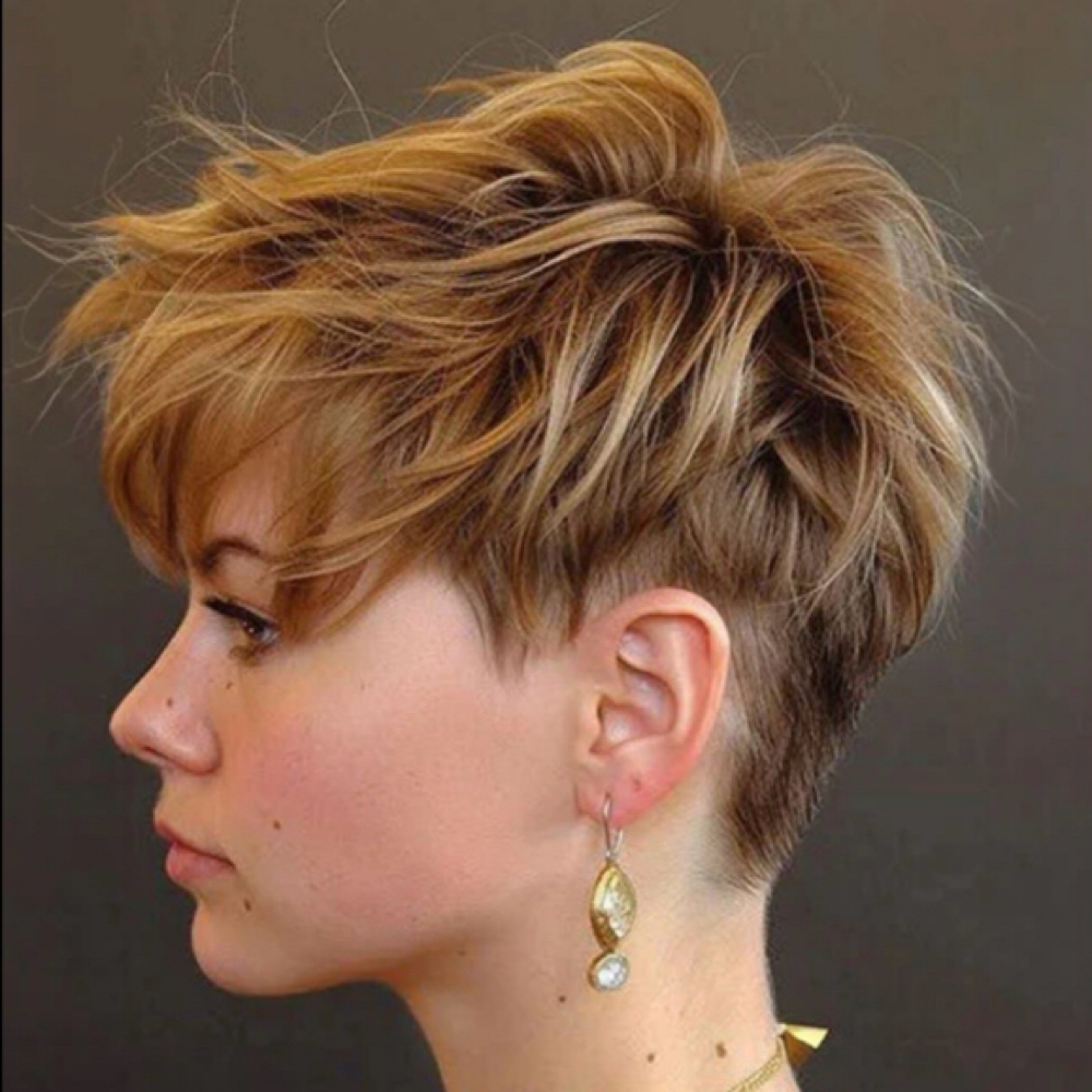 Pixie Cut/No Shampoo at HAIR BY ASHLIE in Hurst, TX