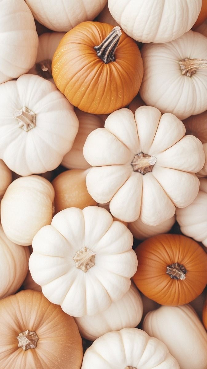 Autumn Glow Waxing Package