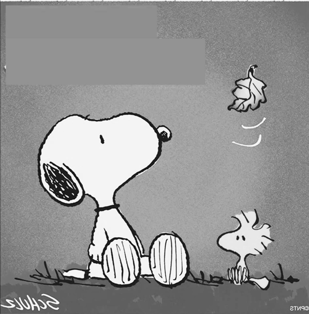 Radio - Apple Cider Facial