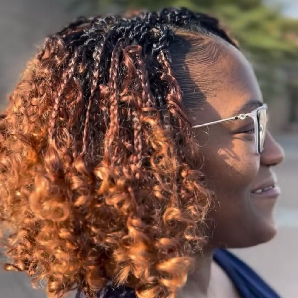 Crochet Braids (braids/Locs) at Image Is Everything Salon
