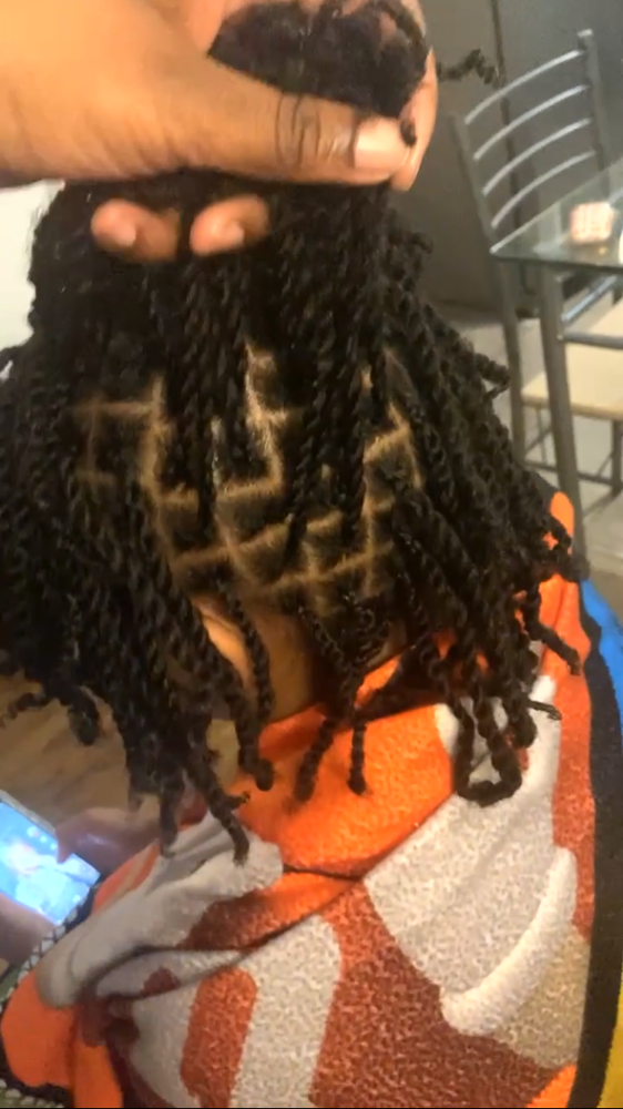 Nautral 2 Strand Twist at Crowned by Qui in Milwaukee, WI