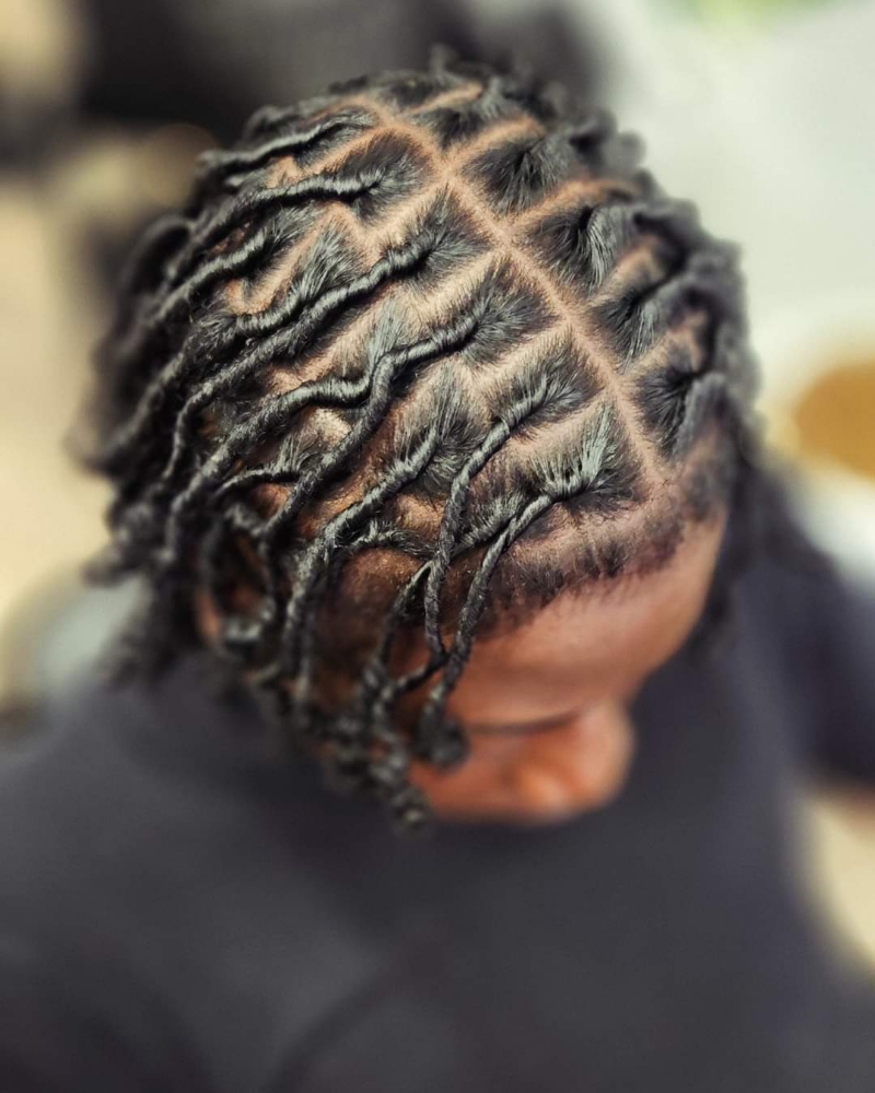 Starter Locs