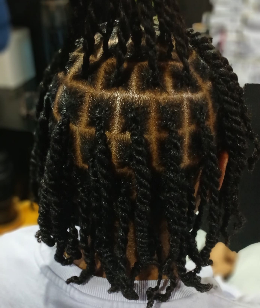 Starter Locs