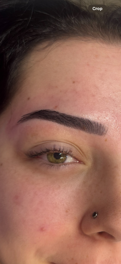 Eyebrow Wax & Tint