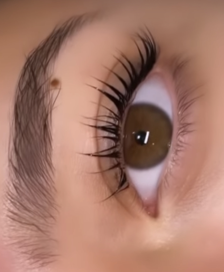Lash Lift& Tint at Vida Beauty Artistry in Fort Worth, TX
