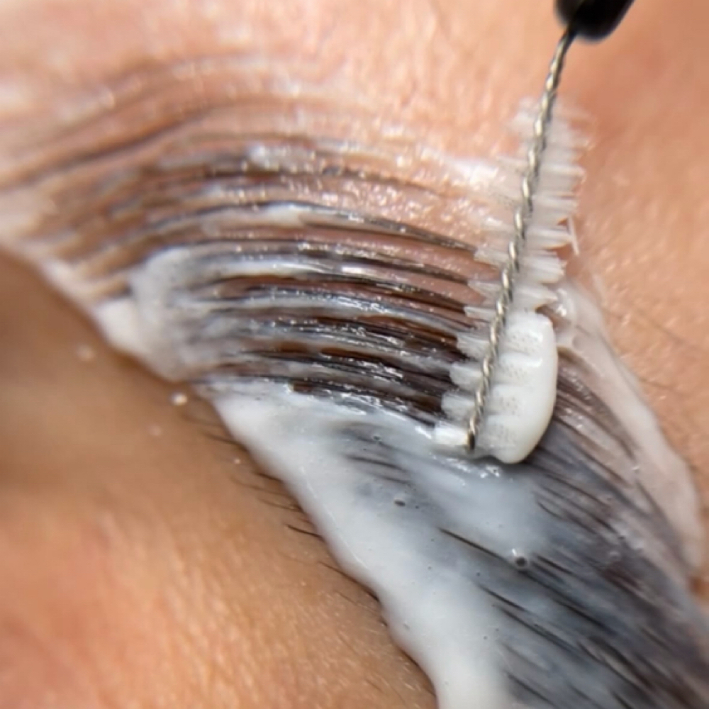 Brow Lamination at Beauty Bar ILM in Wilmington, NC
