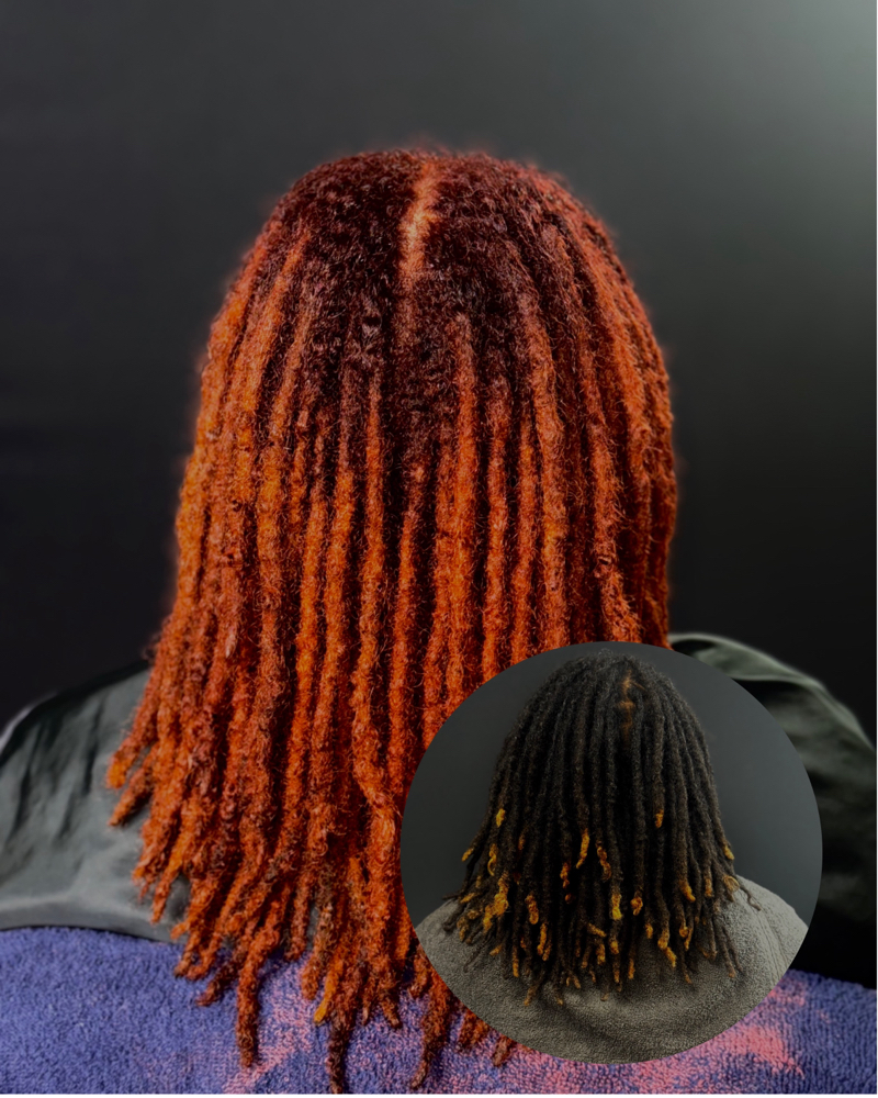 Full Coverage Color at SERTIFIED BY STONNEY in Hartselle, AL