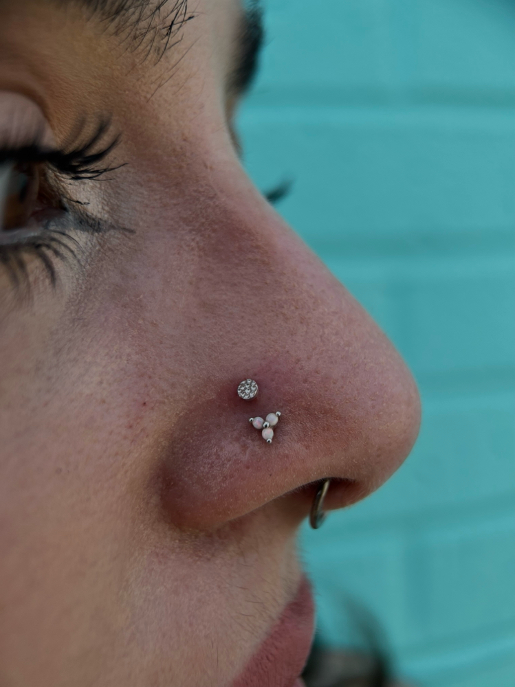 High Nostrils ( Paired )
