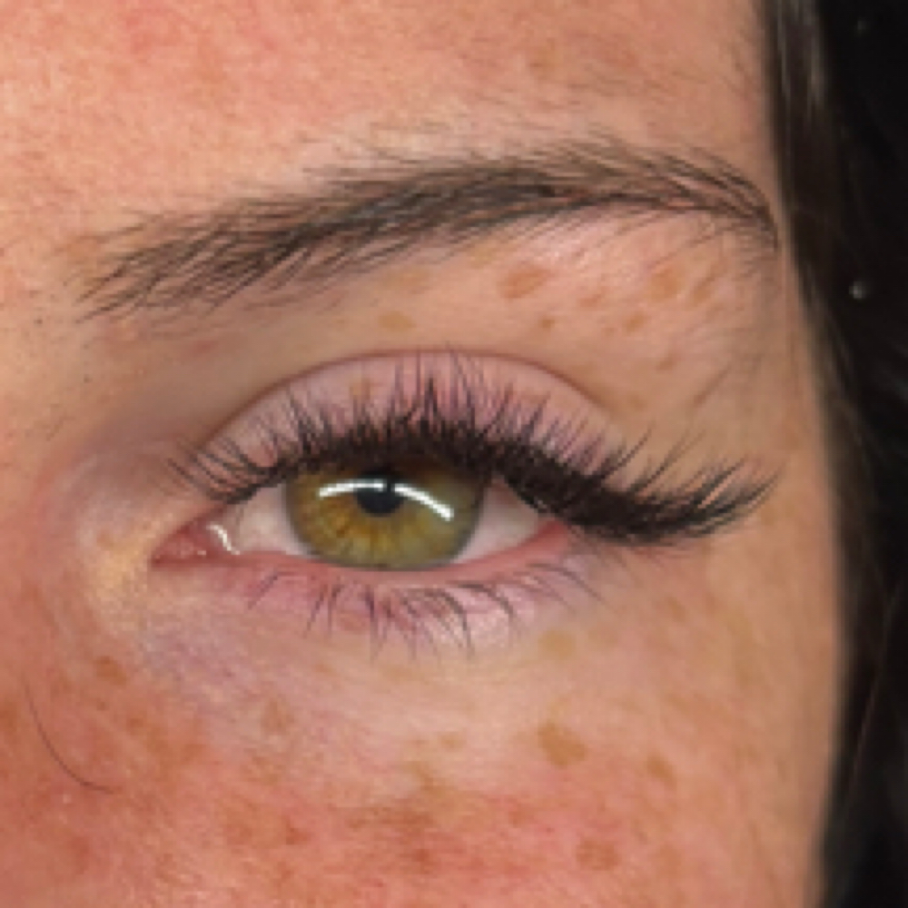3 Week Fill at House Of Lash in georgetown, KY