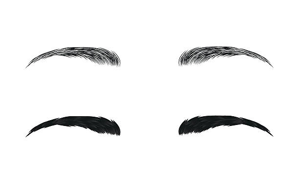 Eyebrow Arch