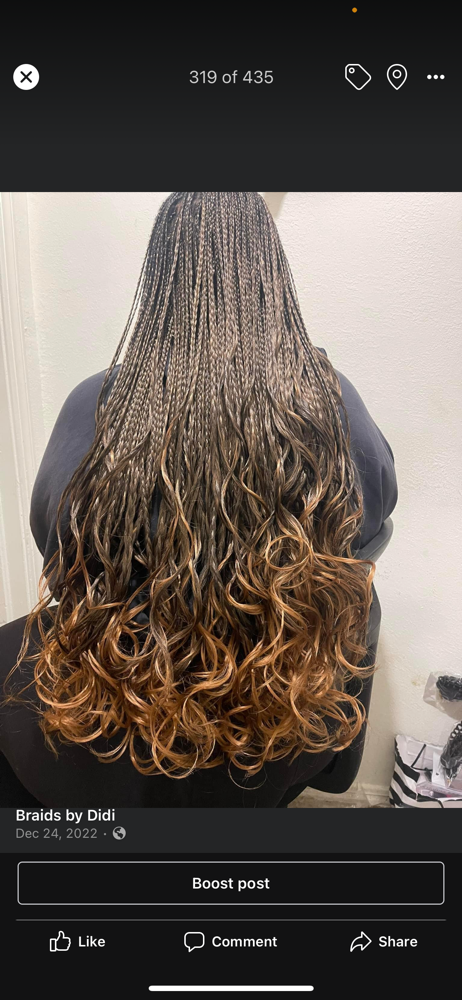 French Curl Braids(hair Provided)