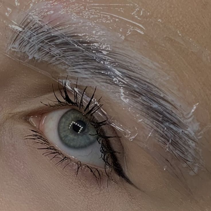Brow Lamination + Tint