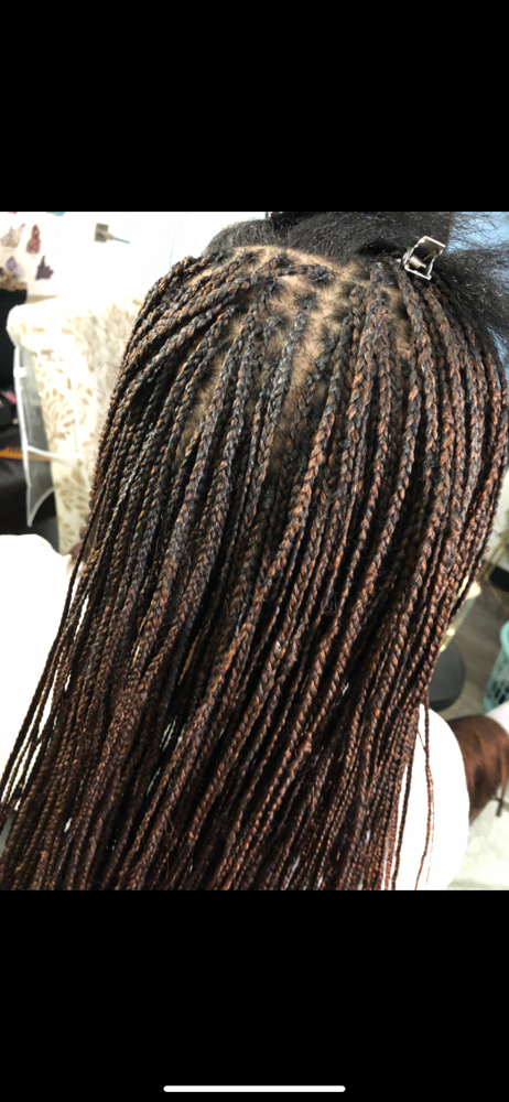 Micro Knottless Braids at ChariseRenee’J Hands of A Goddess in Kettering, MD