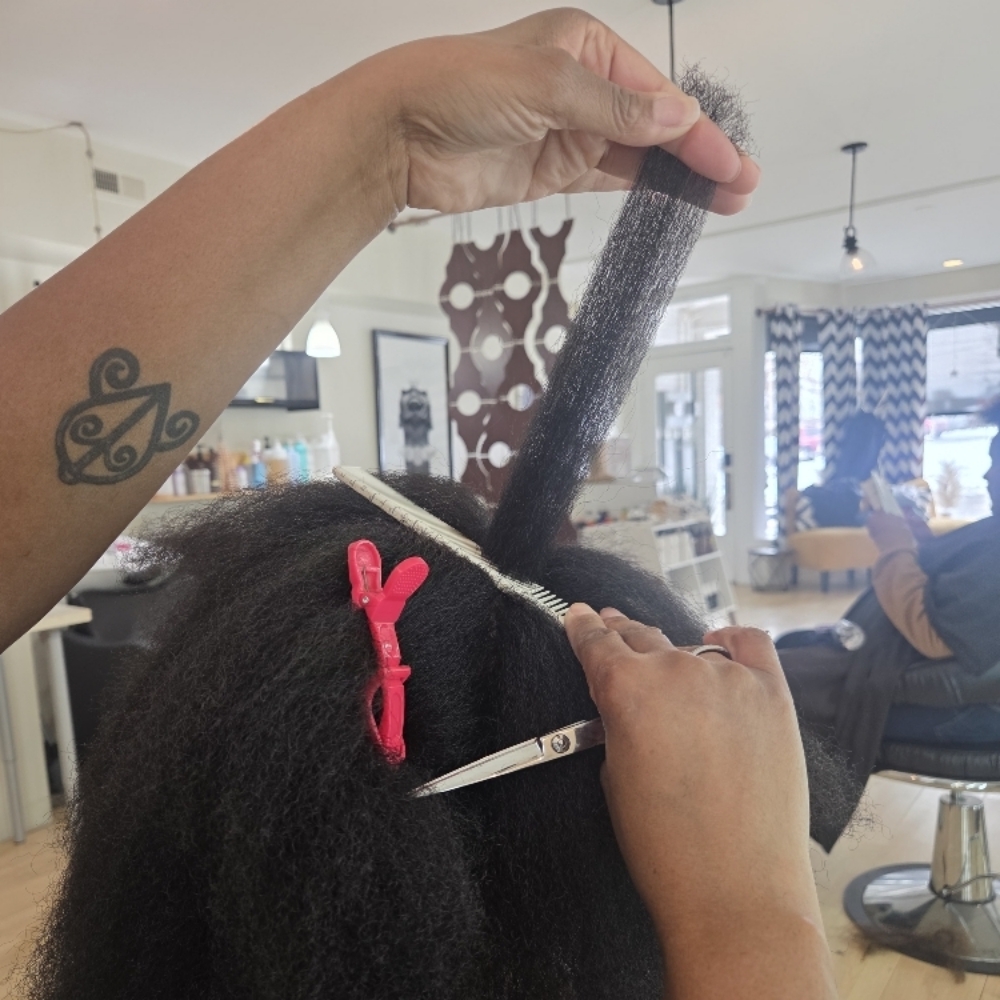 HSM Analysis at SALON CRIE in Greensboro, NC