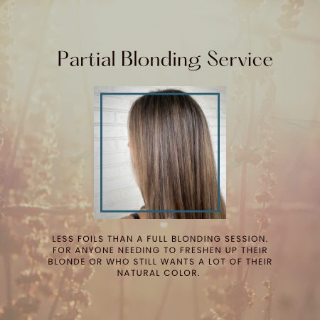 Partial Blonding Service