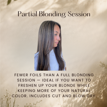 Partial Blonding Service at Ashlee Holley Hair in San Marcos, TX
