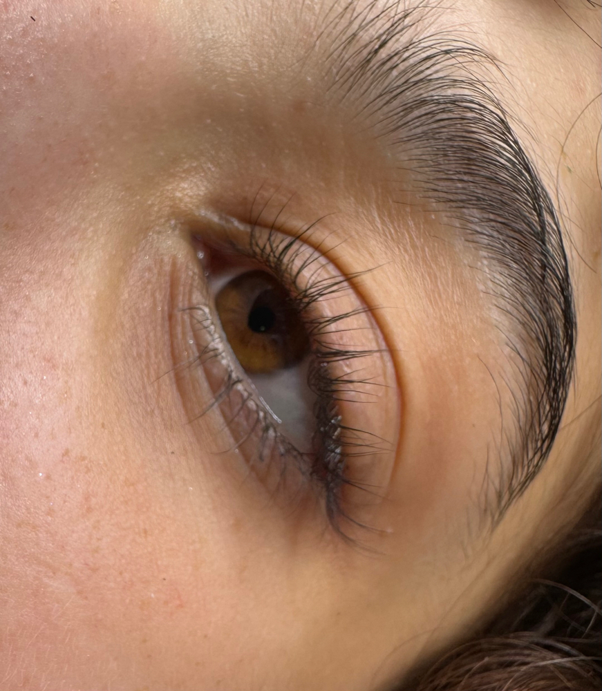 Lash Lift
