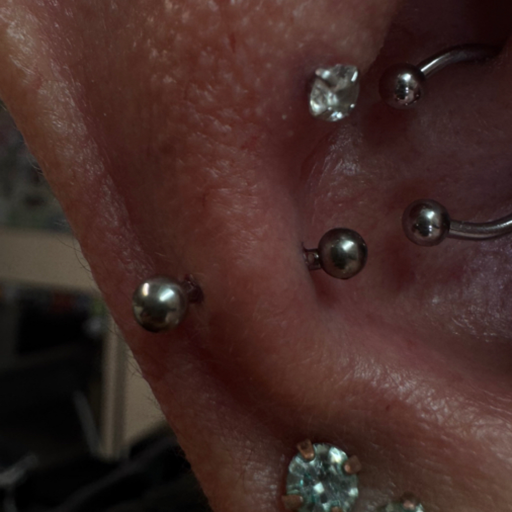 Snug (ear) at Bodyart By Emerald Esme 🖤🕷️ in El Centro, CA