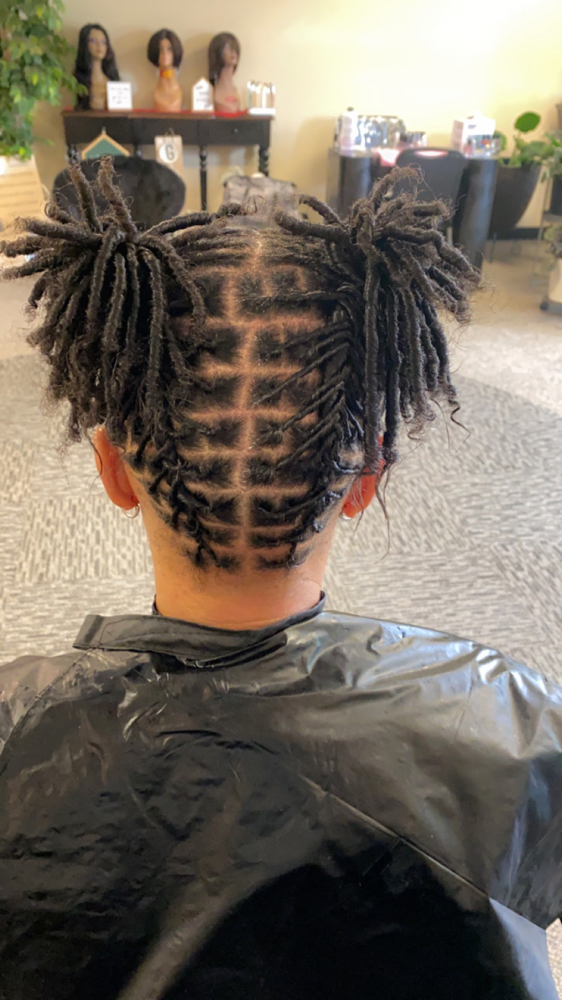 Starter Locs