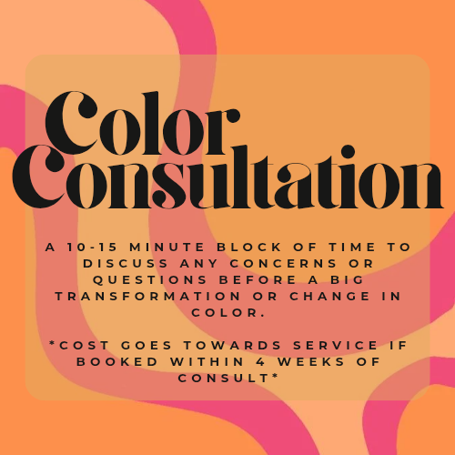 Color Consultation at Eco Hair + Beauty in Chesterfield, MI