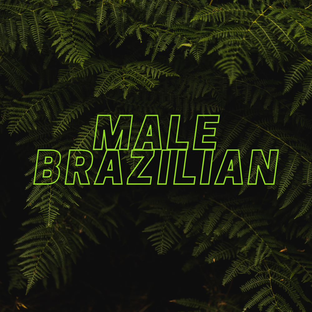 -Male Brazilian-