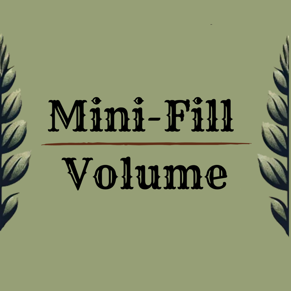 Mini-Fill - Volume at Lashes at The Rusty Hill in Idaho Falls, ID