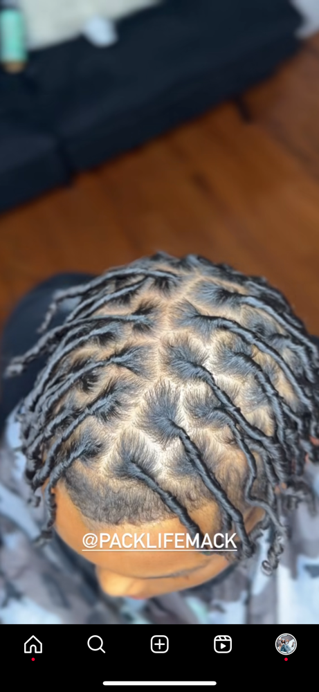 Starter Locs