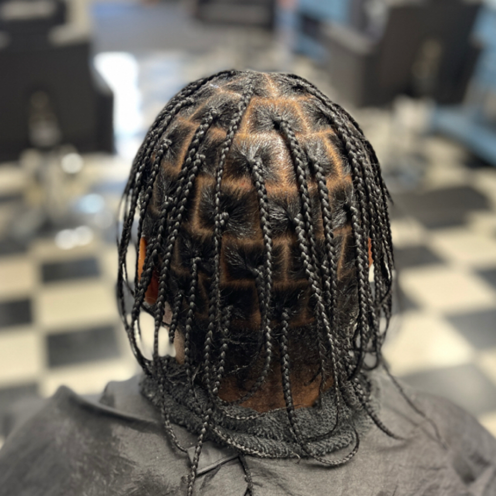 Natural Med Single Braids at Nifty Nita in Newport News, VA