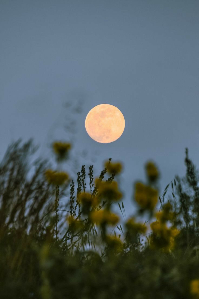 90 Min Full Moon Signiture Facial