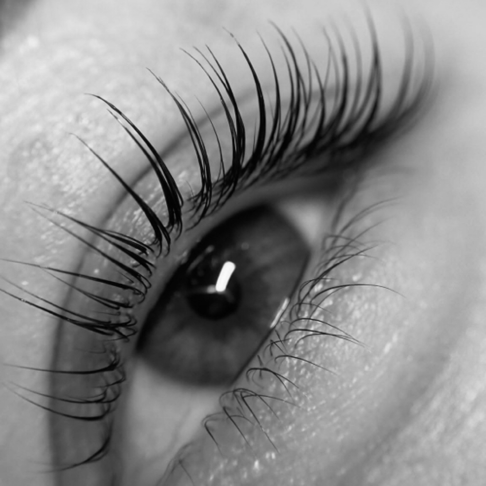 Lash Lift & Tint at At Main Street Salon and Studios in Zachary, LA