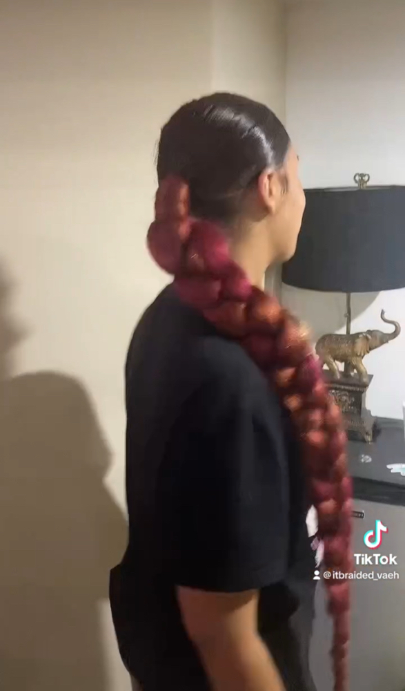 Slicked Braided Pony