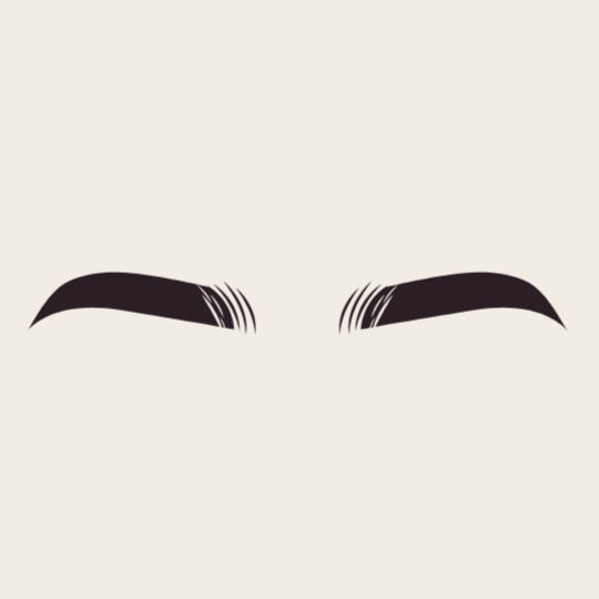Brow Perfection at Merle Norman Beauty Bar in Valdosta, GA