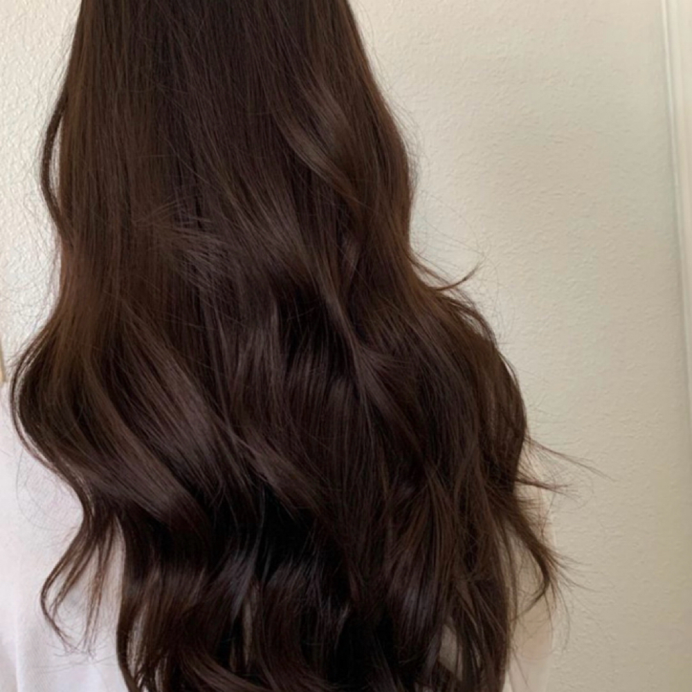 All Over Color + Cut at Legally Bronde Hair Studio in Springfield, MO