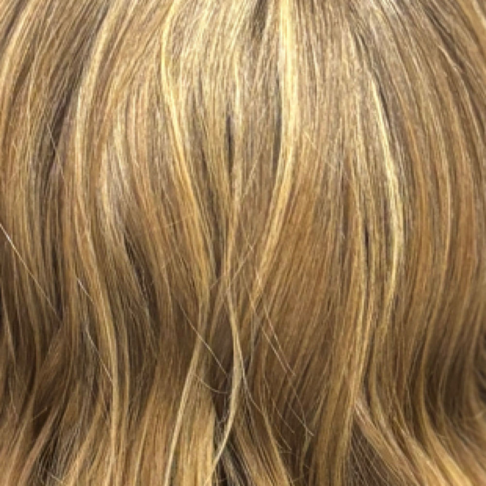 Partial Highlight at Vivarium in Annapolis, MD