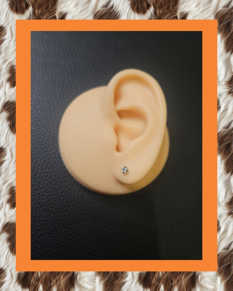 Single Lobe