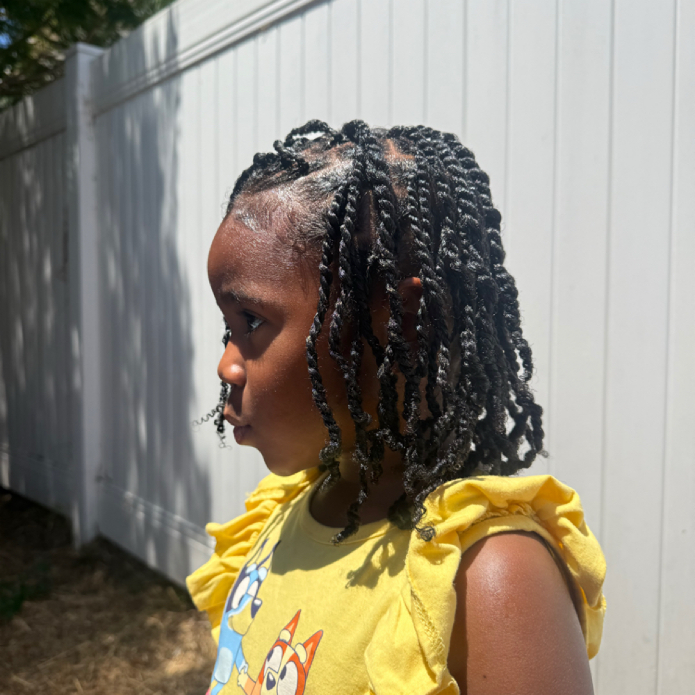 Mini Twists / Plait Twists at kailibraidshair in Los Angeles, CA