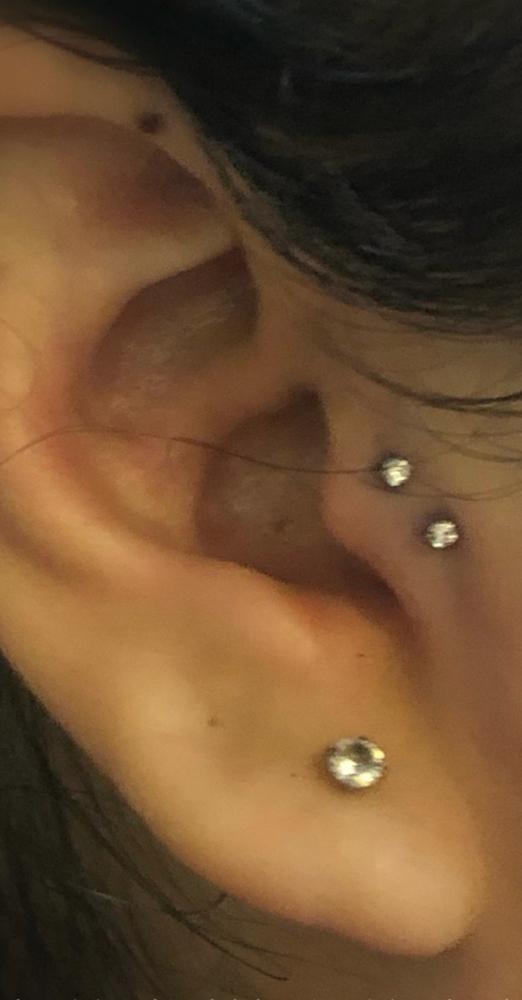 Tragus (Double)