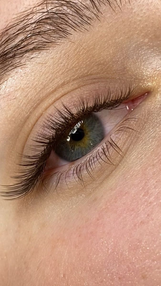 Classic Fill (2-3 Weeks Only)