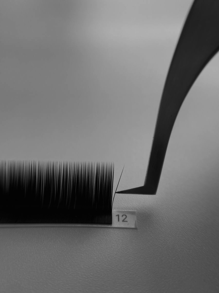 Foregin Fill