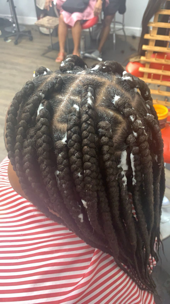 Box Braids ( Mid Back)
