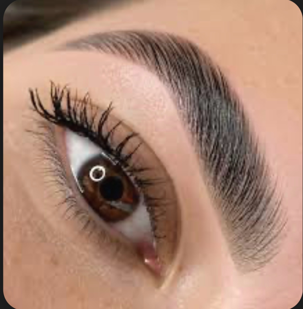 Eyebrow Lamination