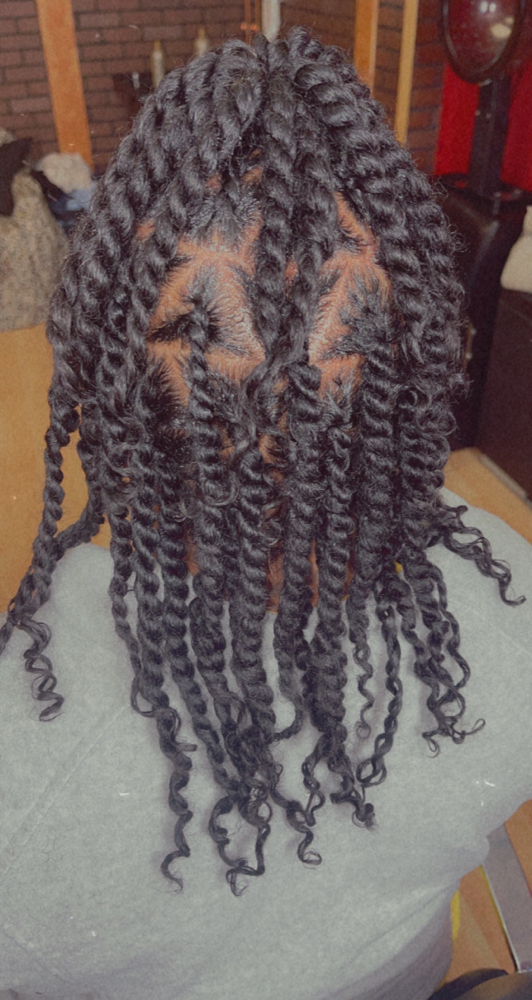 Starter Locs - Large