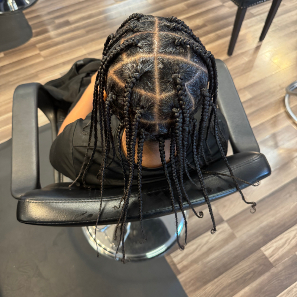 Natural Plates/Single Braids at CHEVEUX Beauty Bar in Columbus, OH