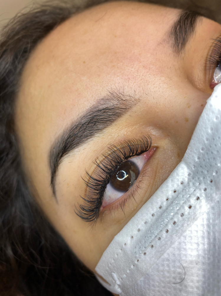 🌵Hybrid Refill🌵2-3weeks Only!