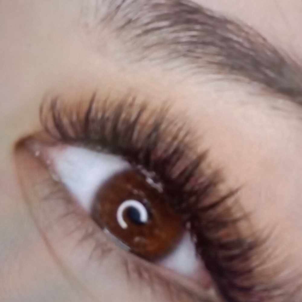 1 Week Volumes Lashes Fill at Glamorous Brows Skin and Lashes Dallas in Dallas, TX